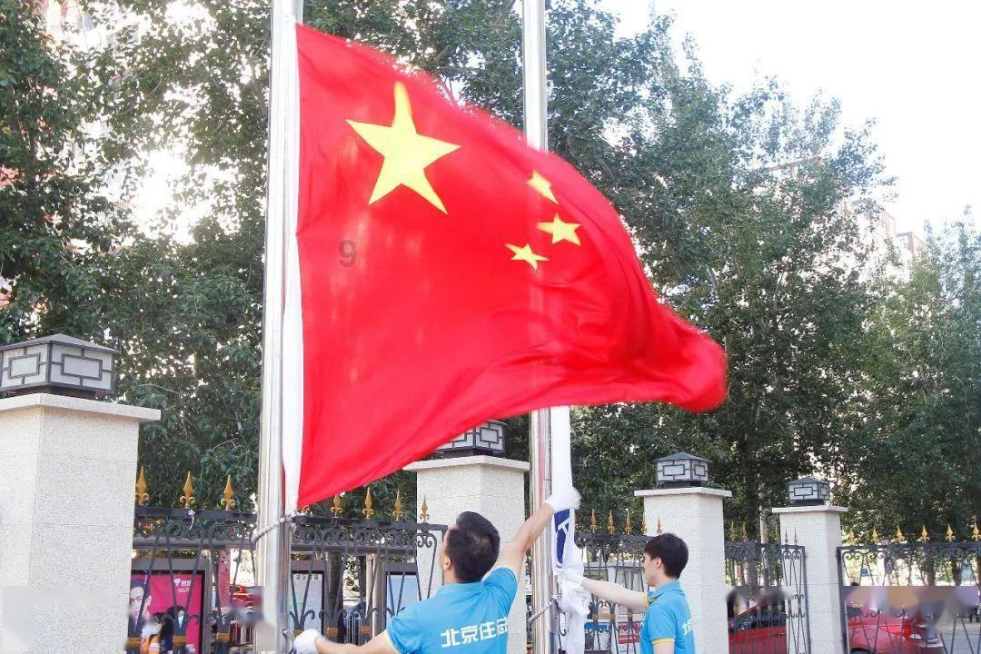 拯救可爱小浣熊